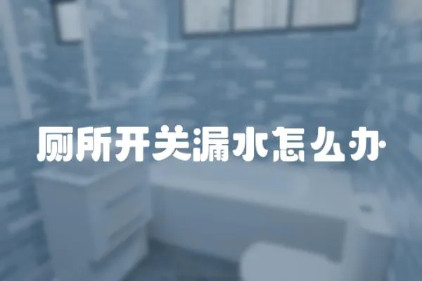廁所開(kāi)關(guān)漏水怎么辦