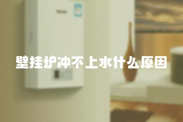 壁掛爐沖不上水什么原因