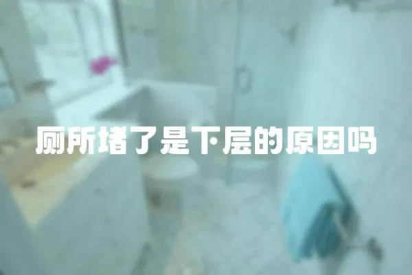廁所堵了是下層的原因嗎