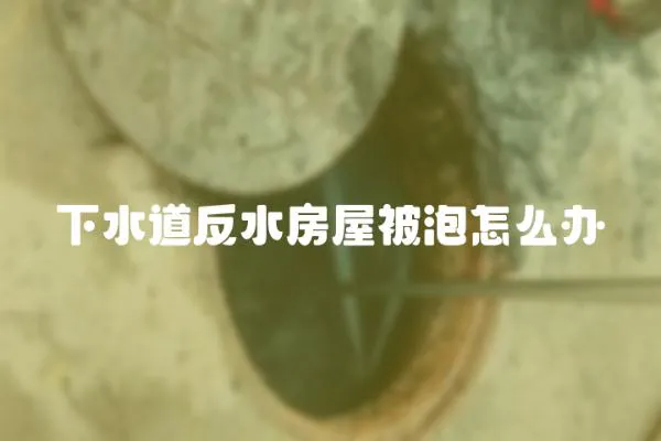 下水道反水房屋被泡怎么辦