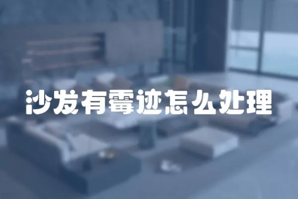 沙發有霉跡怎么處理