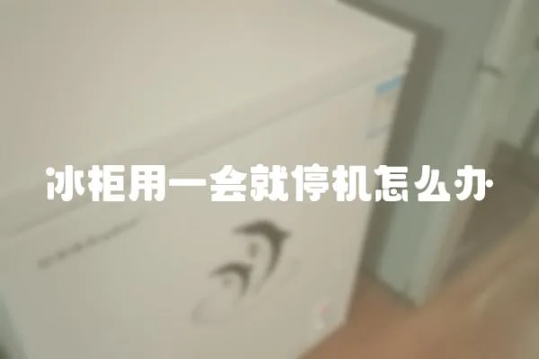冰柜用一會就停機怎么辦