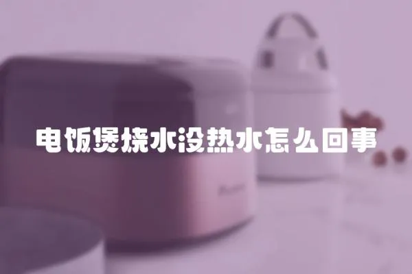 電飯煲燒水沒熱水怎么回事