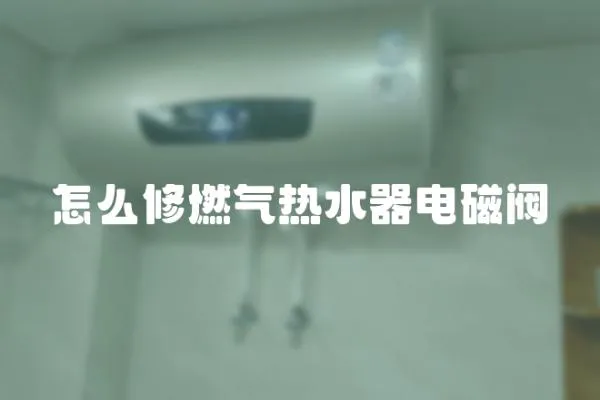 怎么修燃氣熱水器電磁閥