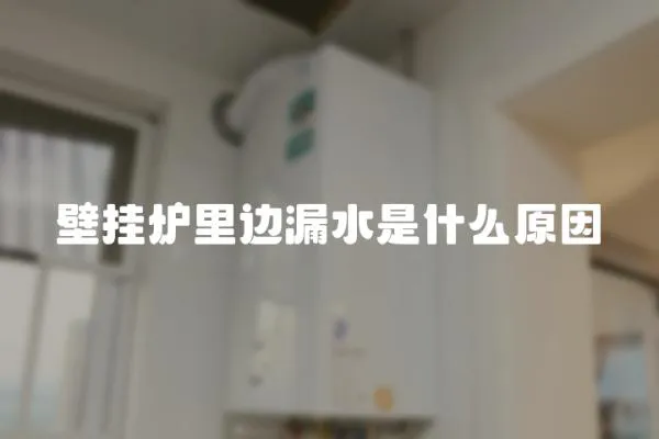 壁掛爐里邊漏水是什么原因
