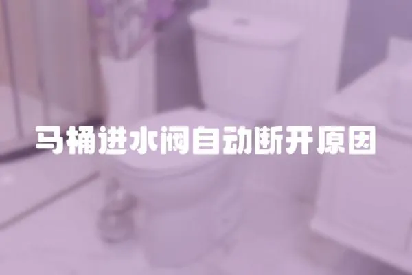 馬桶進水閥自動斷開原因