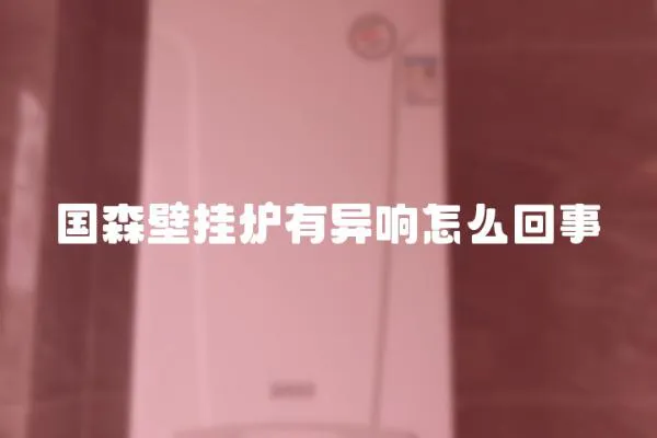 國森壁掛爐有異響怎么回事