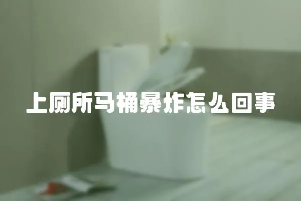 上廁所馬桶暴炸怎么回事