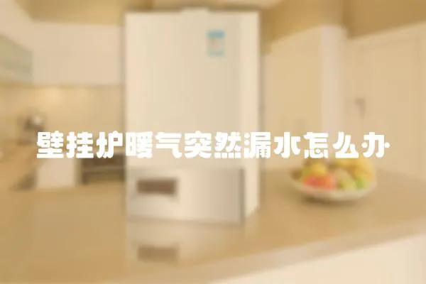 壁掛爐暖氣突然漏水怎么辦