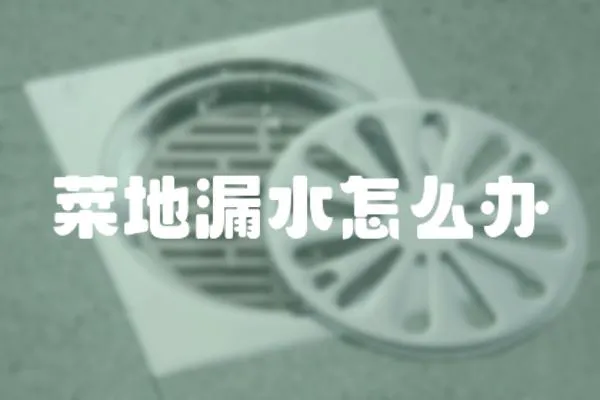 菜地漏水怎么辦