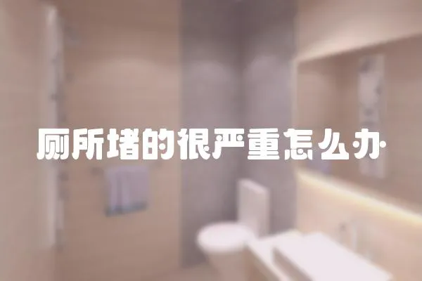 廁所堵的很嚴重怎么辦