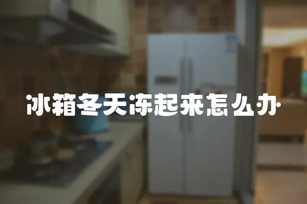 冰箱冬天凍起來怎么辦