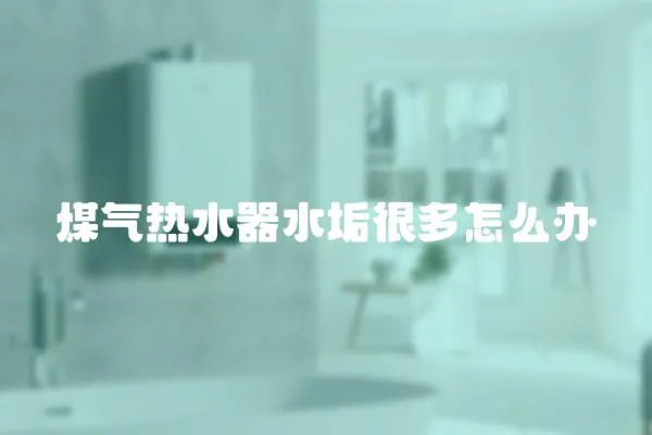 煤氣熱水器水垢很多怎么辦