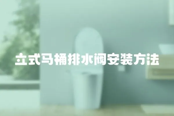 立式馬桶排水閥安裝方法