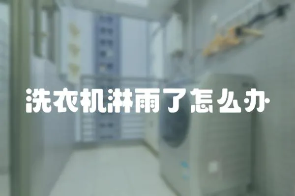 洗衣機(jī)淋雨了怎么辦