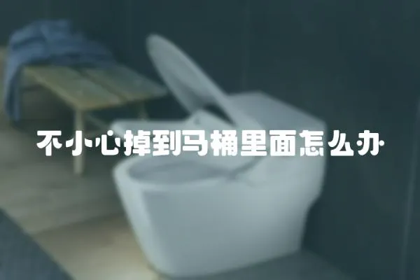 不小心掉到馬桶里面怎么辦