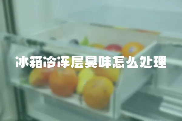 冰箱冷凍層臭味怎么處理