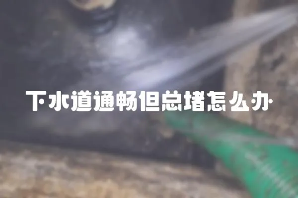 下水道通暢但總堵怎么辦