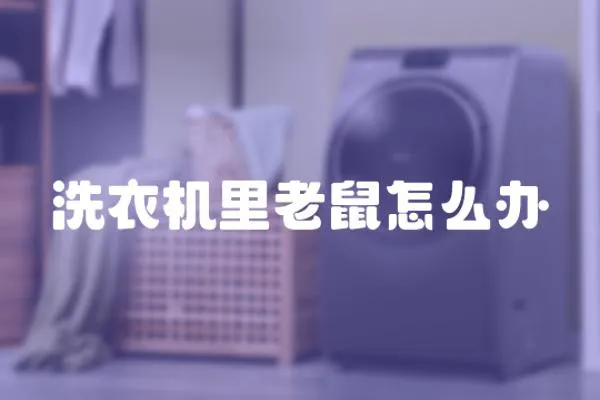 洗衣機里老鼠怎么辦