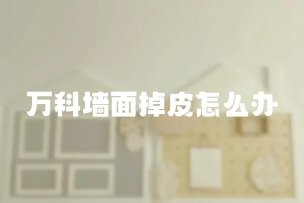 萬科墻面掉皮怎么辦