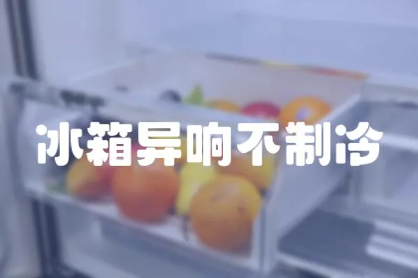 冰箱異響不制冷