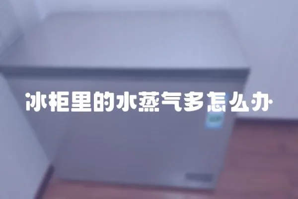 冰柜里的水蒸氣多怎么辦
