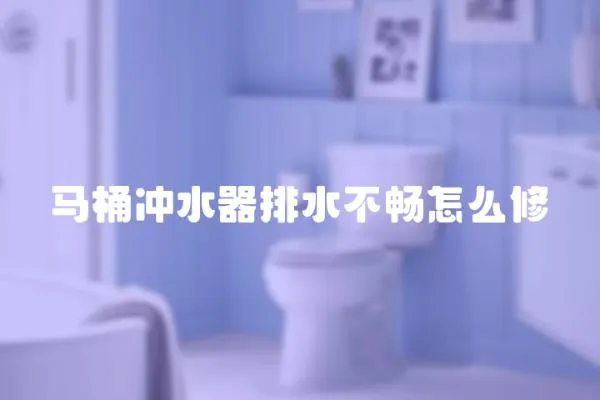 馬桶沖水器排水不暢怎么修