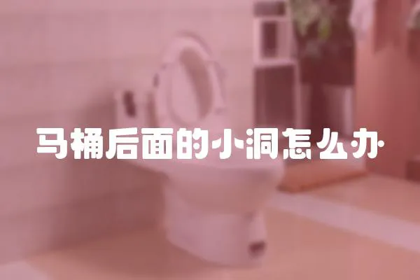 馬桶后面的小洞怎么辦