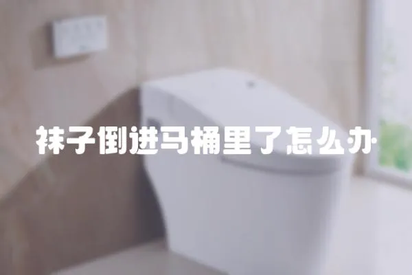襪子倒進馬桶里了怎么辦