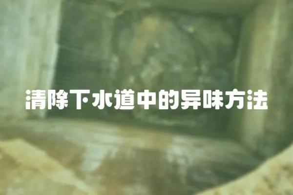 清除下水道中的異味方法