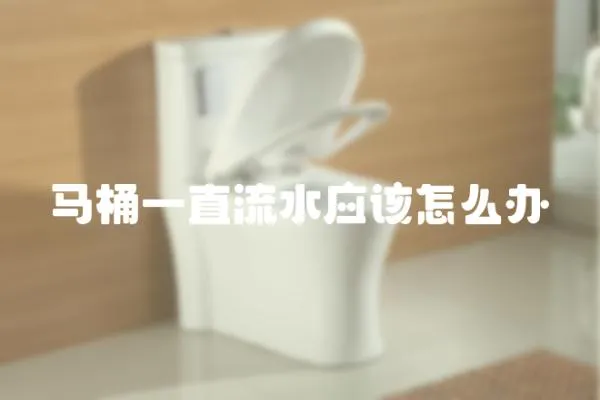馬桶一直流水應該怎么辦