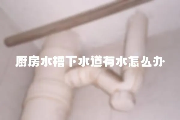 廚房水槽下水道有水怎么辦