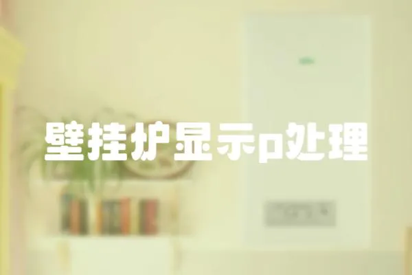 壁掛爐顯示p處理