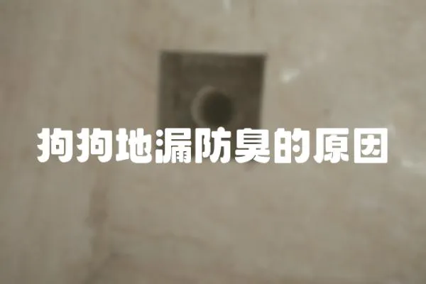 狗狗地漏防臭的原因