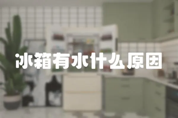 冰箱有水什么原因