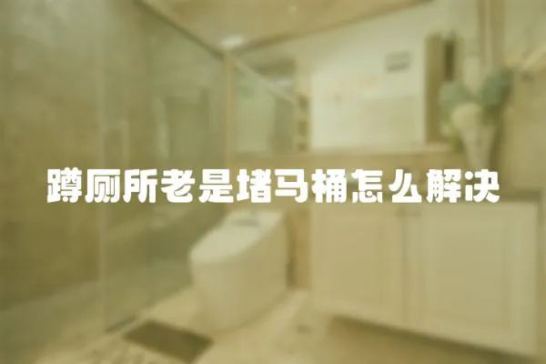 蹲廁所老是堵馬桶怎么解決