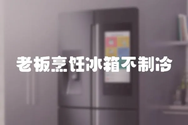 老板烹飪冰箱不制冷