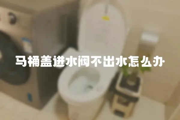 馬桶蓋進(jìn)水閥不出水怎么辦