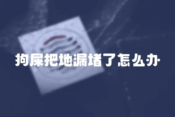 狗屎把地漏堵了怎么辦