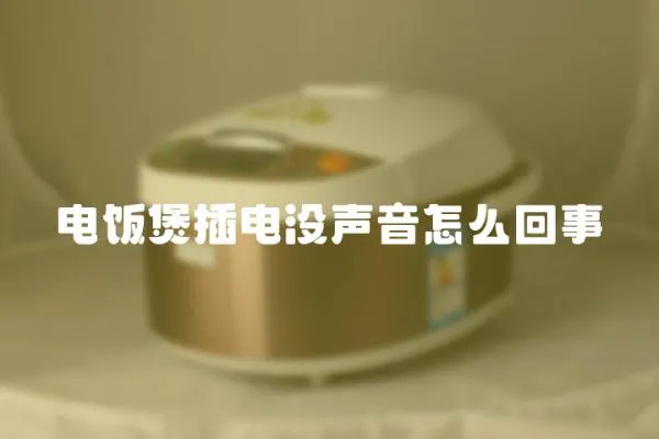 電飯煲插電沒聲音怎么回事