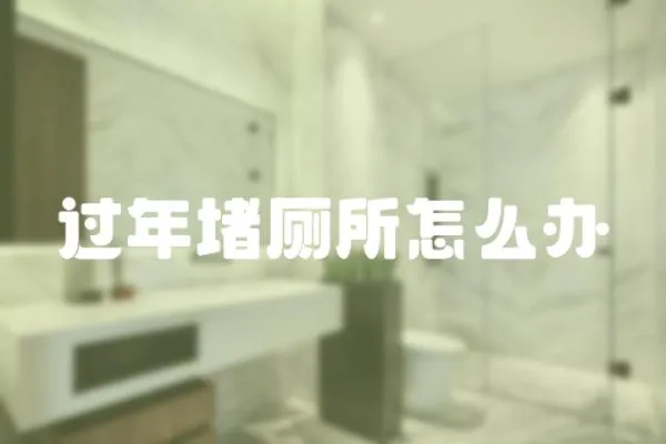 過年堵廁所怎么辦