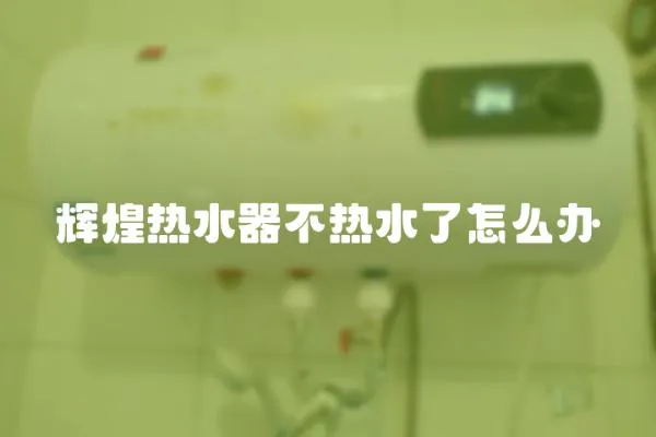 輝煌熱水器不熱水了怎么辦
