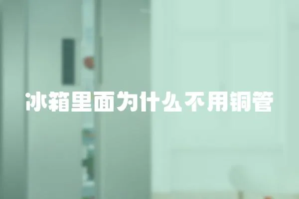 冰箱里面為什么不用銅管