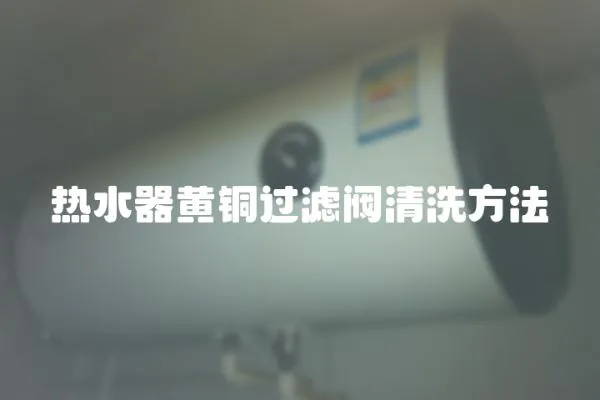 熱水器黃銅過濾閥清洗方法