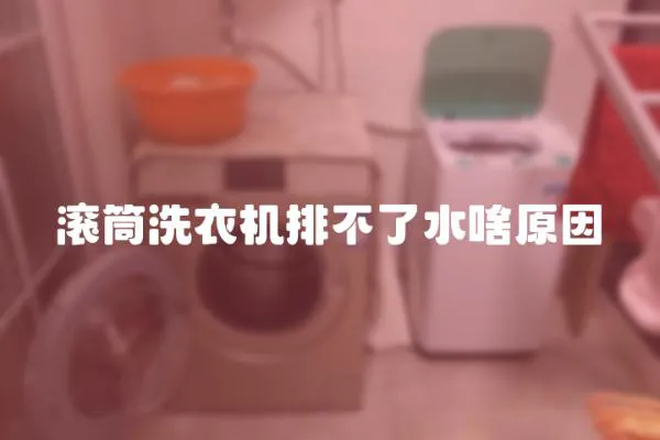 滾筒洗衣機排不了水啥原因