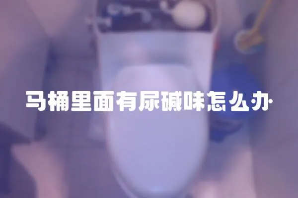 馬桶里面有尿堿味怎么辦