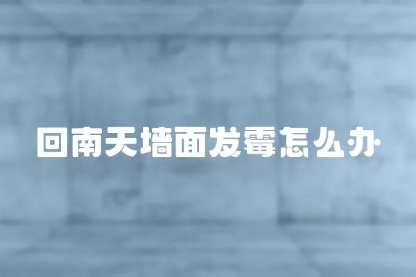 回南天墻面發霉怎么辦