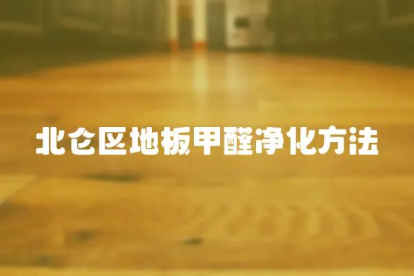 北侖區地板甲醛凈化方法