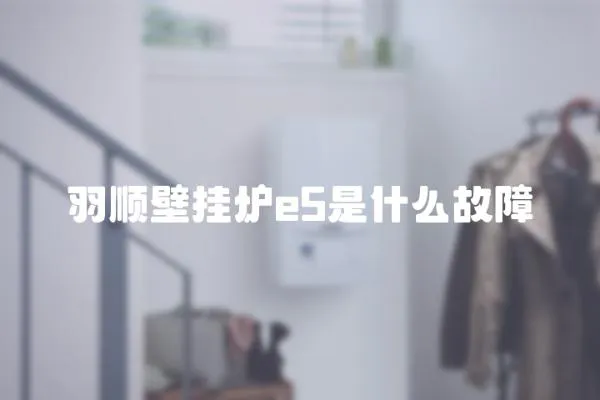 羽順壁掛爐e5是什么故障