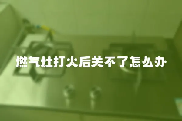 燃氣灶打火后關不了怎么辦